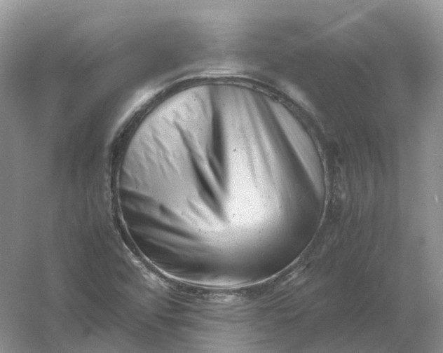 X0000061121456200512022139