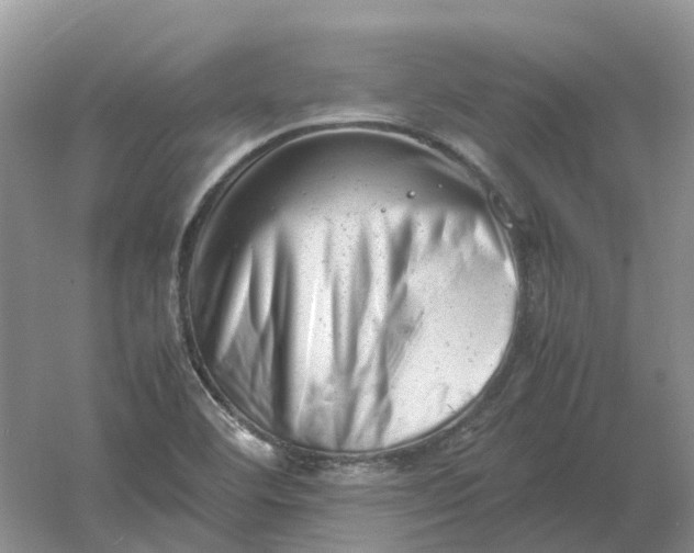 X0000061121460200512022139