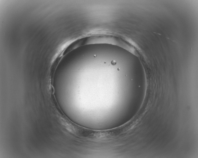 X0000061121461200512022139