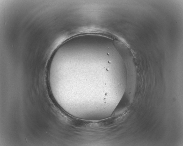 X0000061121463200512022139