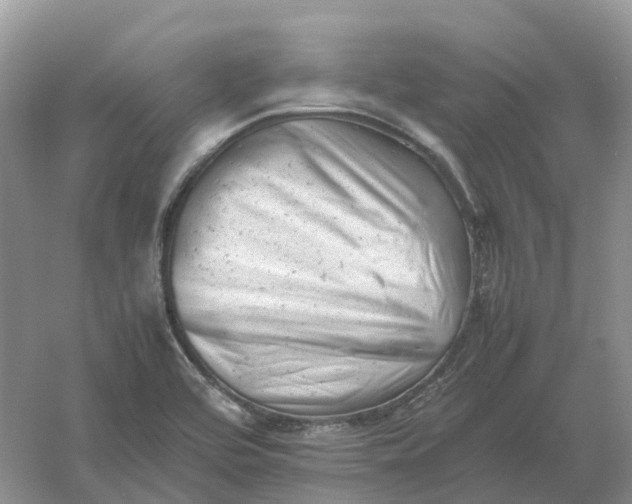 X0000061121464200512022139