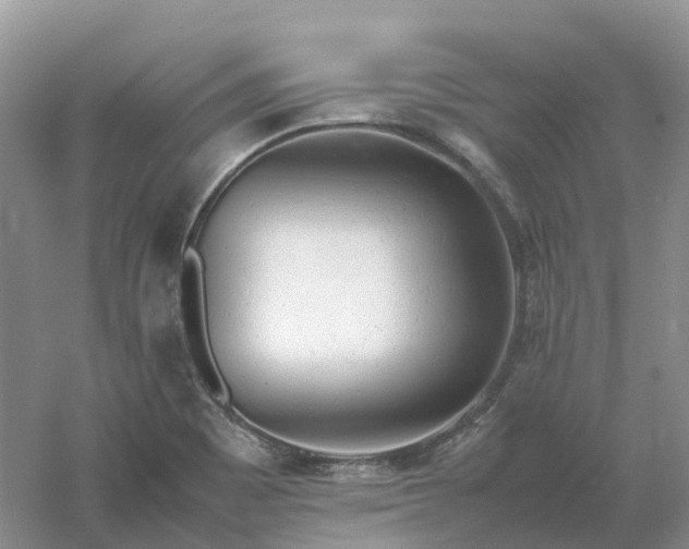 X0000061121465200512022139