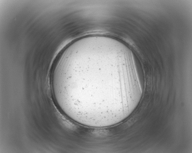 X0000061121466200512022139