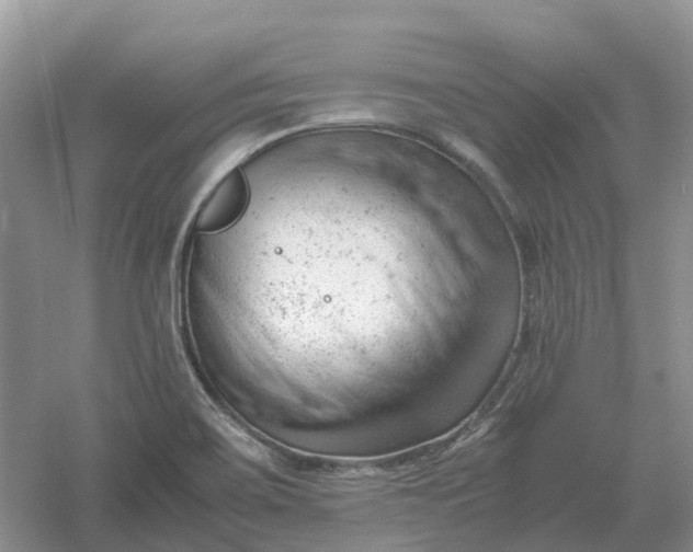 X0000061121467200512022139