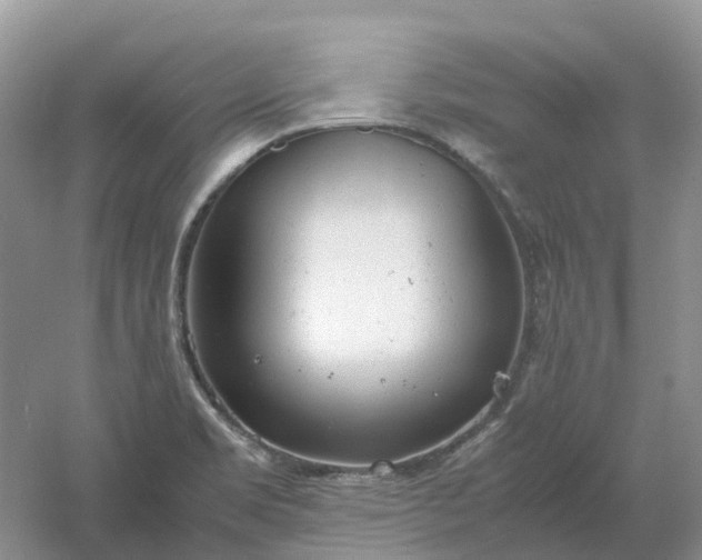 X0000061121469200512022139