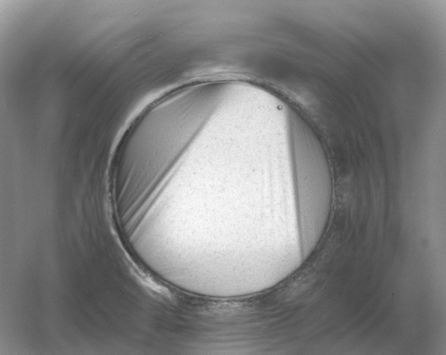 X0000061121470200512022139