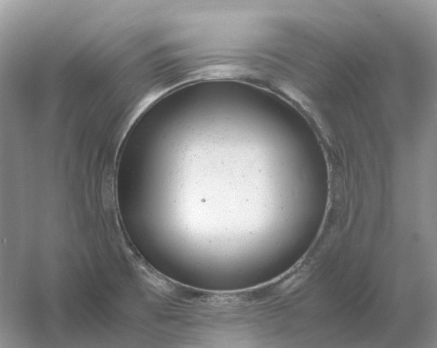 X0000061121473200512022139