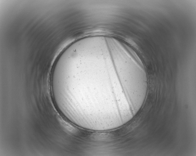 X0000061121474200512022139