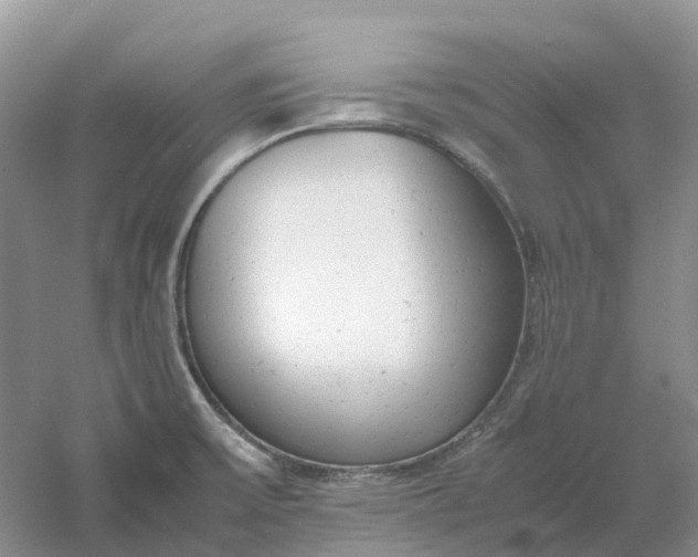 X0000061121475200512022139