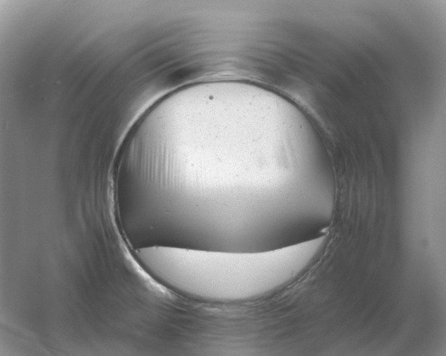 X0000061121476200512022139