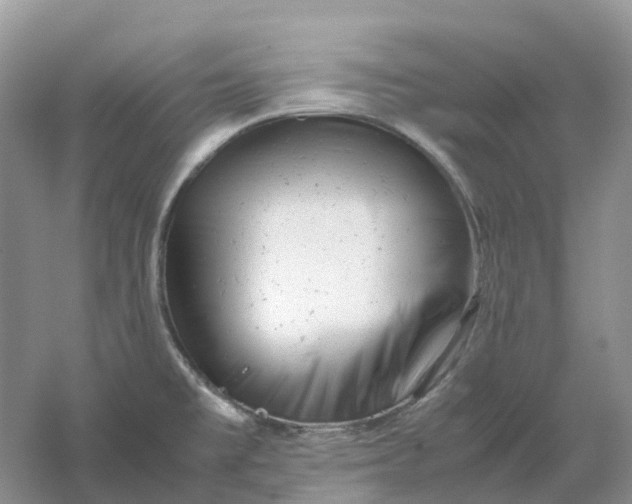 X0000061121477200512022139