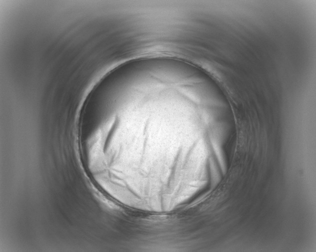 X0000061121478200512022139