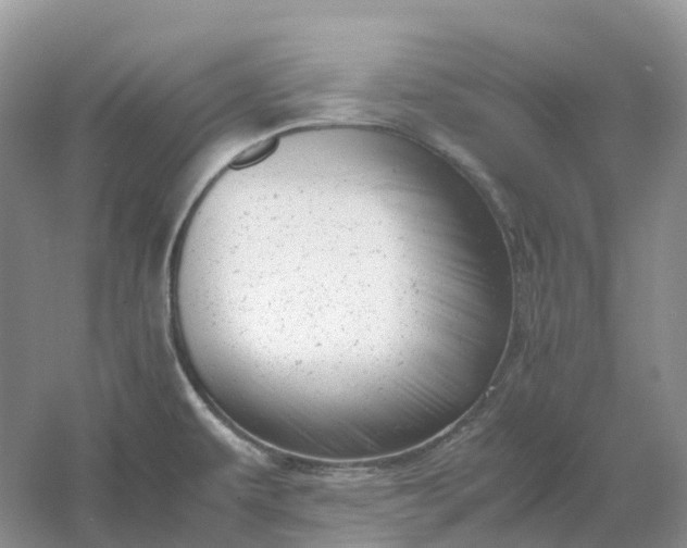 X0000061121479200512022139