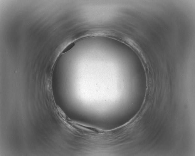 X0000061121481200512022139