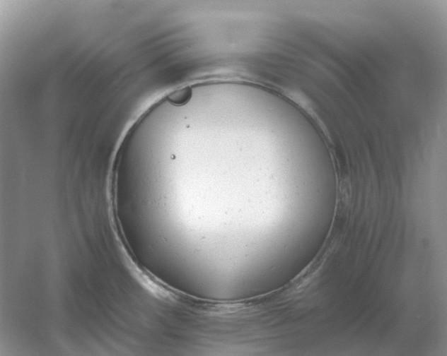 X0000061121482200512022139