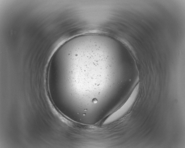 X0000061121483200512022139