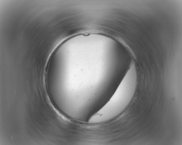 X0000061121484200512022139