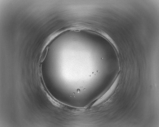 X0000061121485200512022139