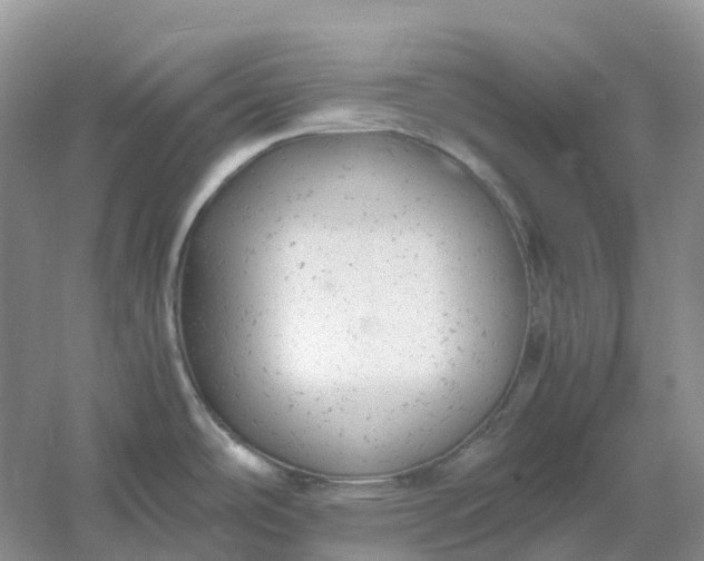 X0000061121486200512022139