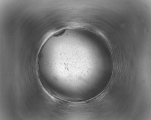 X0000061121487200512022139