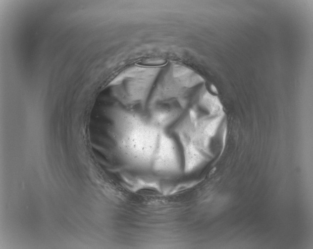 X0000061121489200512022138