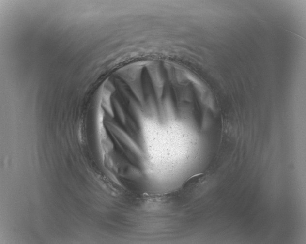 X0000061121490200512022138