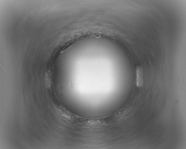 X0000061121491200512022138