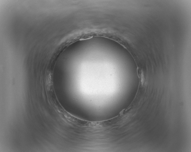 X0000061121492200512022138