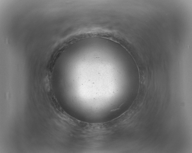 X0000061121493200512022138