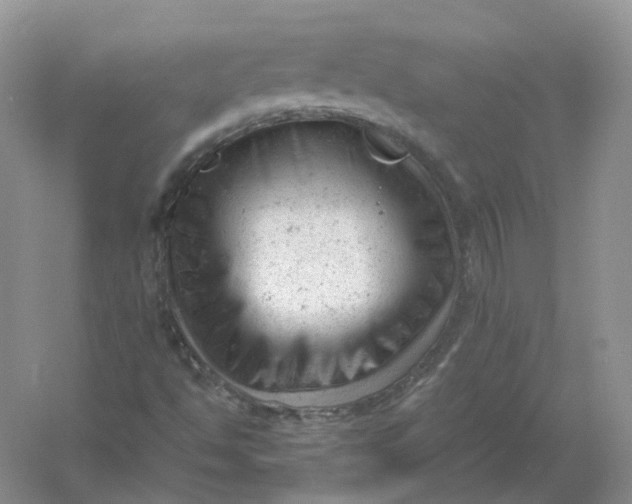 X0000061121494200512022138