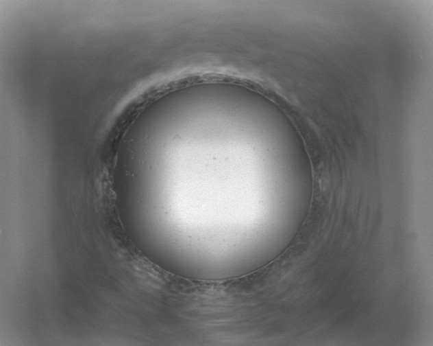 X0000061121495200512022138