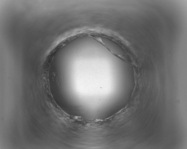 X0000061121496200512022138