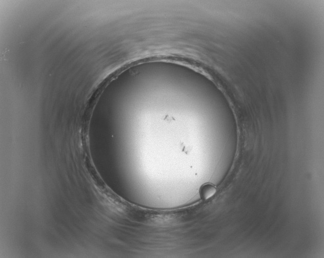 X0000061121497200512022138