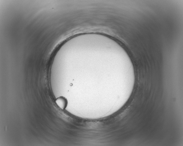 X0000061121498200512022138