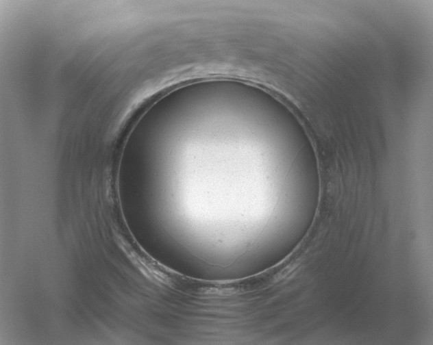 X0000061121499200512022138