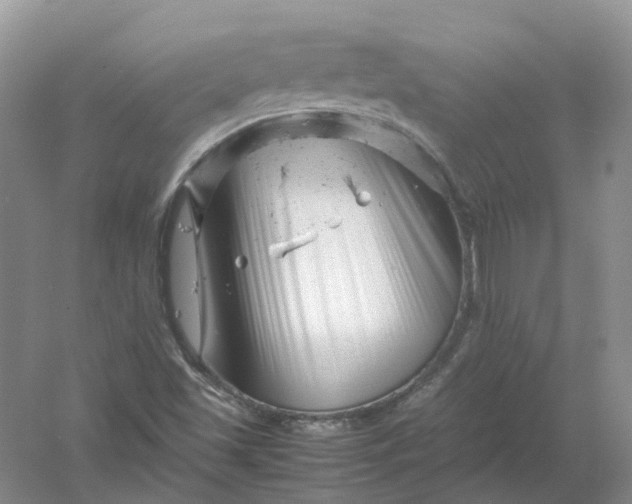 X0000061121501200512022138