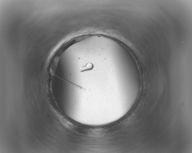 X0000061121502200512022138