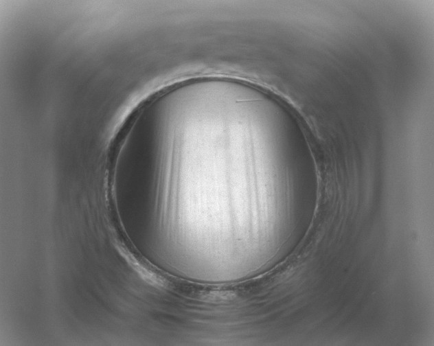 X0000061121503200512022138