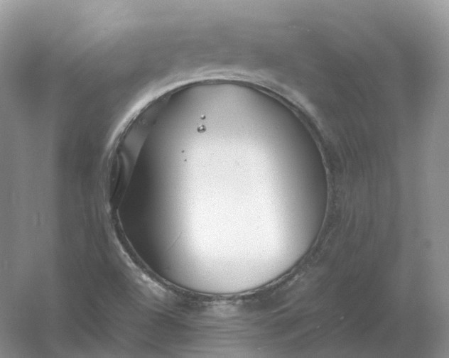 X0000061121504200512022138