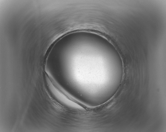 X0000061121505200512022138