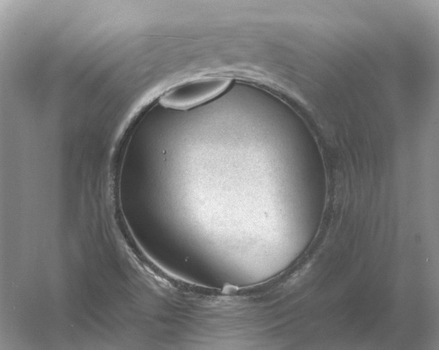 X0000061121506200512022138