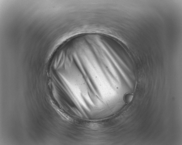 X0000061121507200512022138