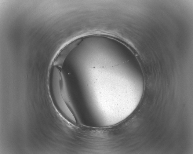 X0000061121508200512022138