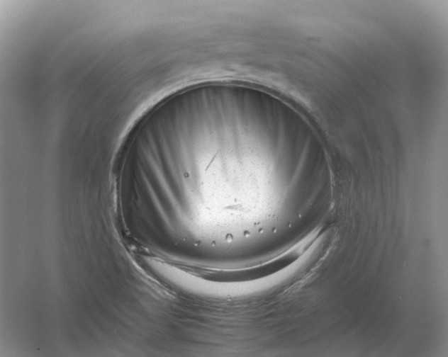 X0000061121509200512022138