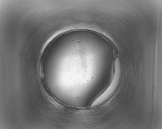 X0000061121510200512022138