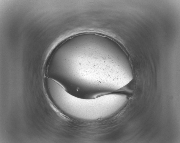 X0000061121511200512022138