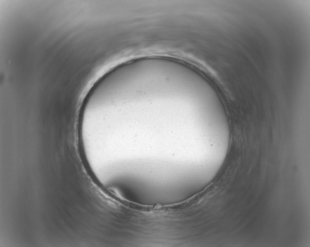 X0000061121512200512022138