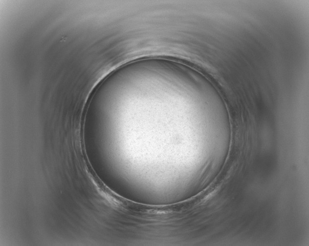 X0000061121513200512022138