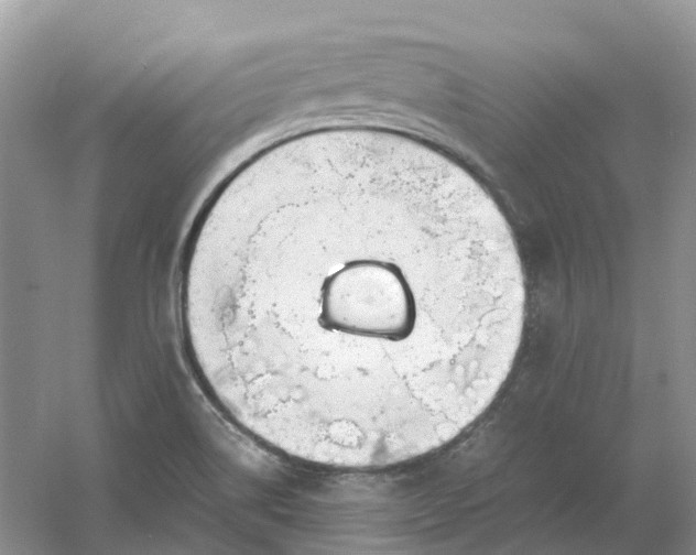 X0000061121514200512022138