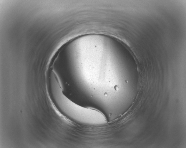 X0000061121515200512022138